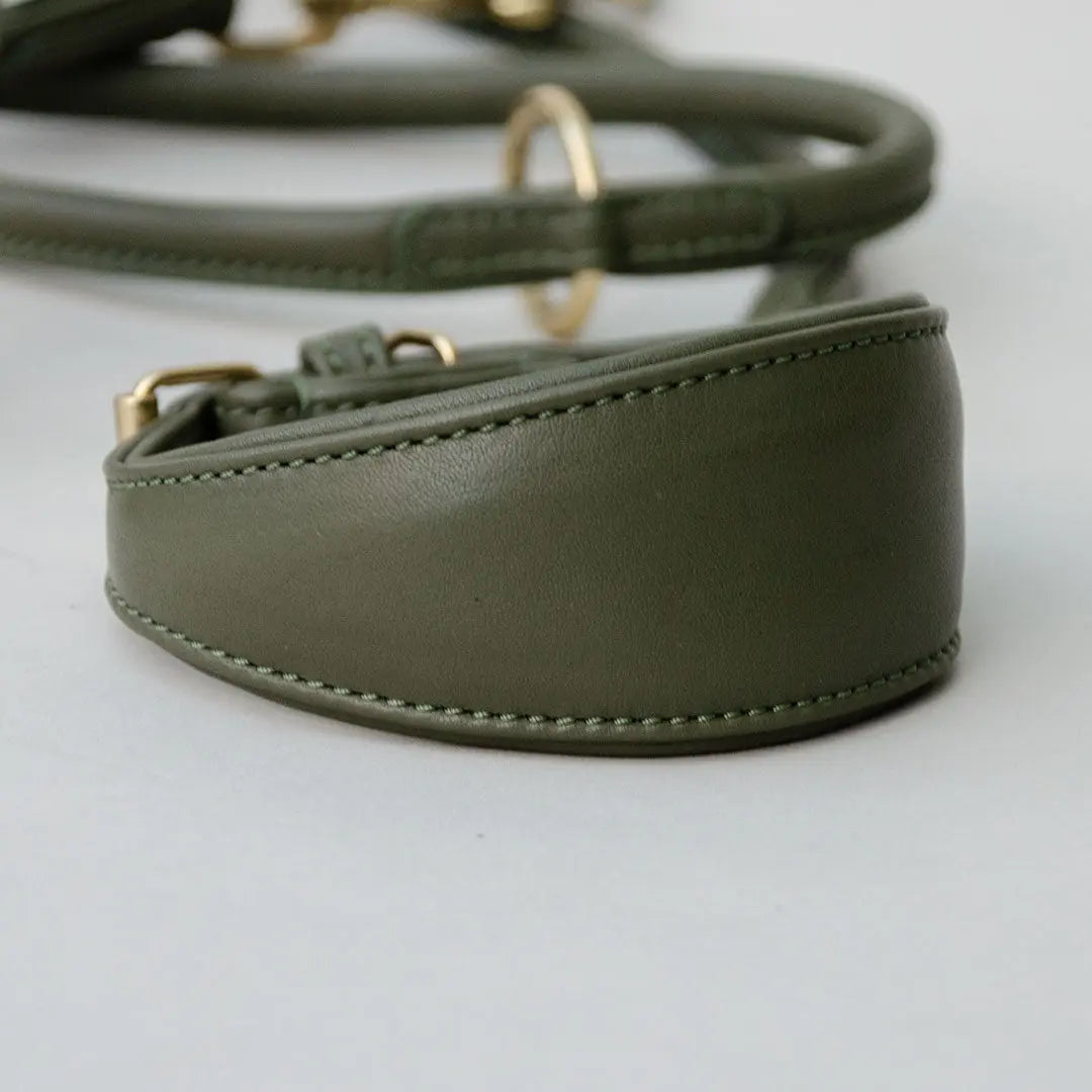 Windhund-Lederhalsband - "Nappa Greyhound" - oliv 4legs.de