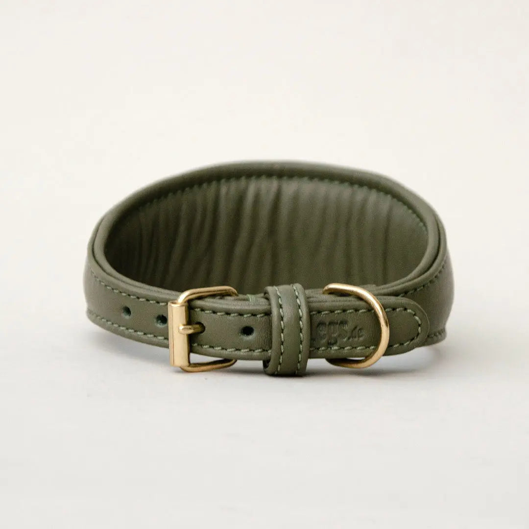 Windhund-Lederhalsband - "Nappa Greyhound" - oliv 4legs.de