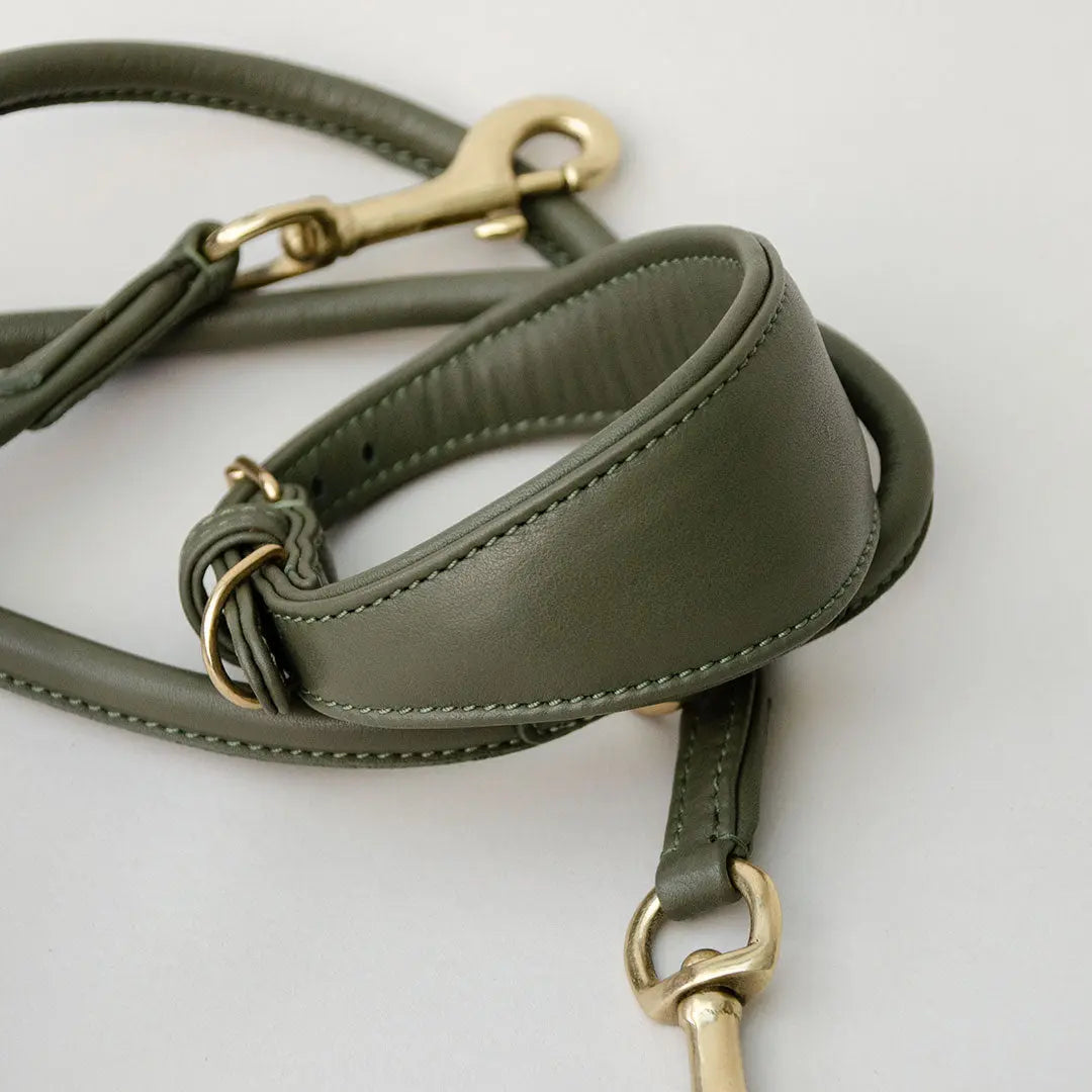 Windhund-Lederhalsband - "Nappa Greyhound" - oliv 4legs.de