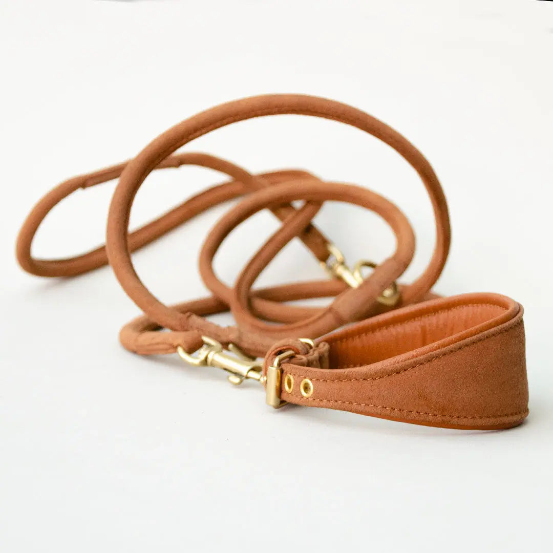 Windhund Lederhalsband "Nubuk-Greyhound" 4legs.de