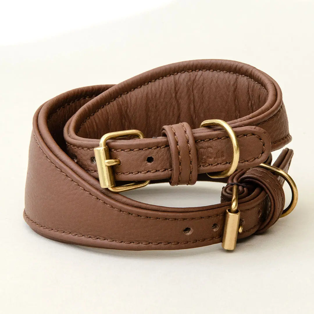 Windhundhalsband - "Greyhound Supersoft" brown 4legs.de