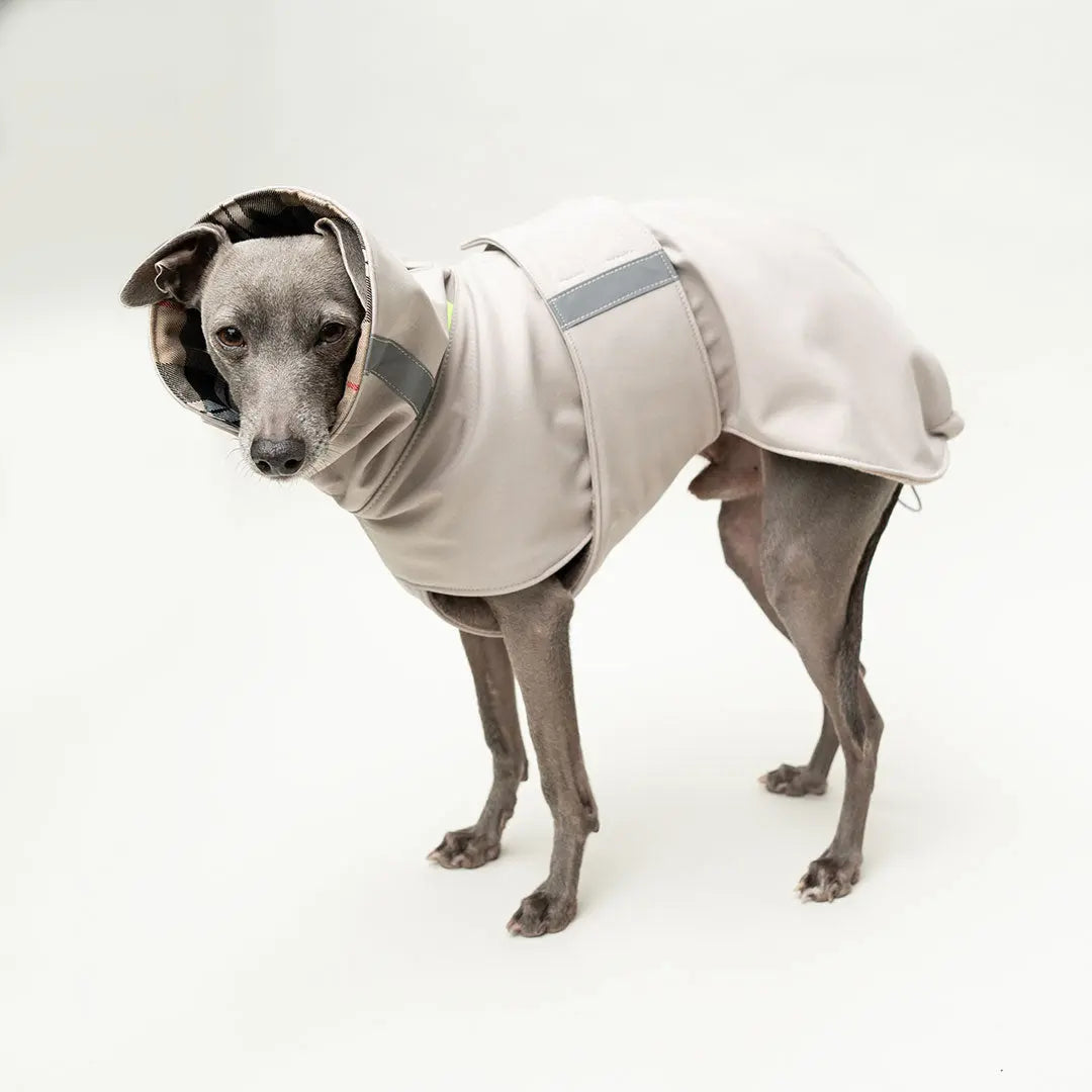 Wintermantel Clouseau 4legs.de