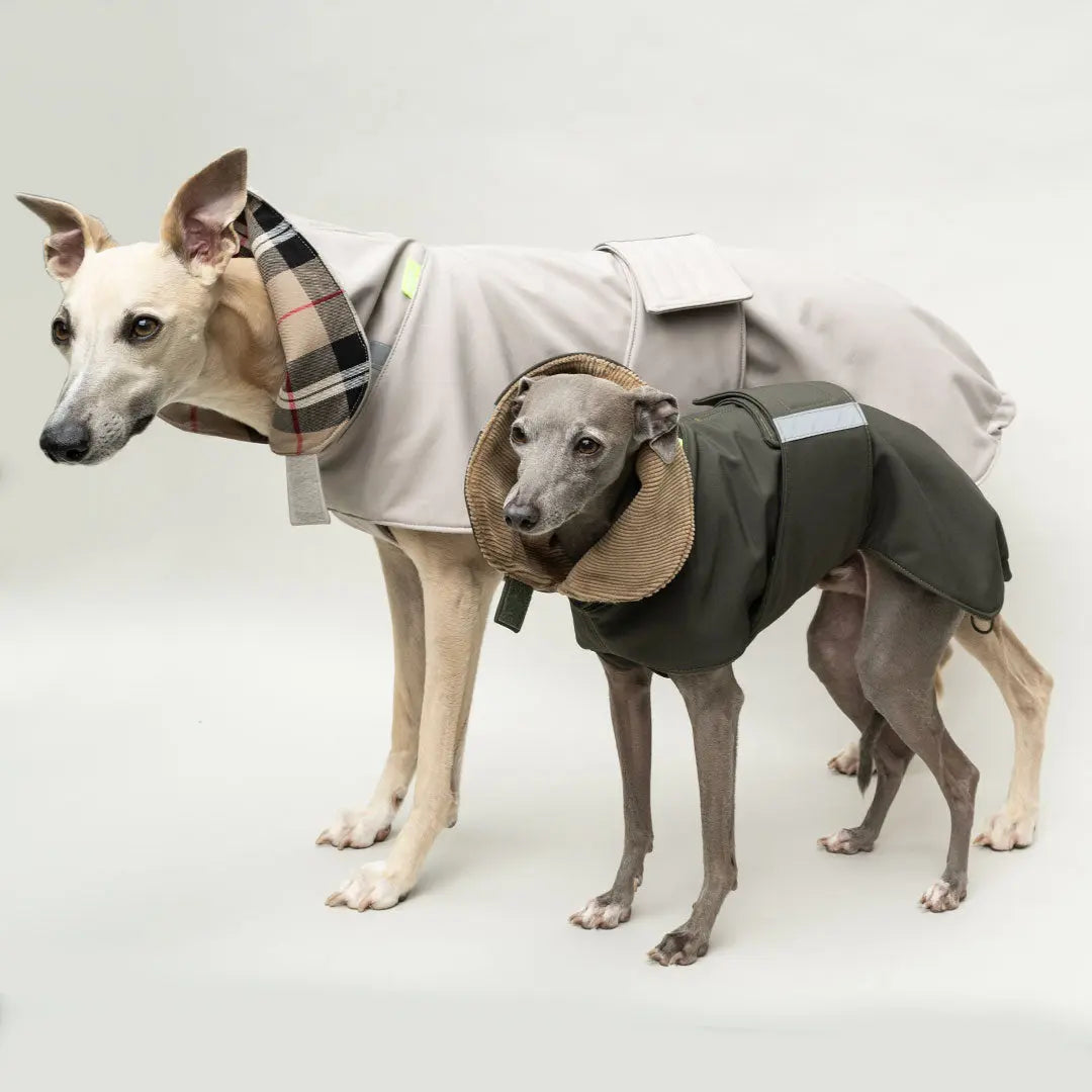 Wintermantel Clouseau 4legs.de