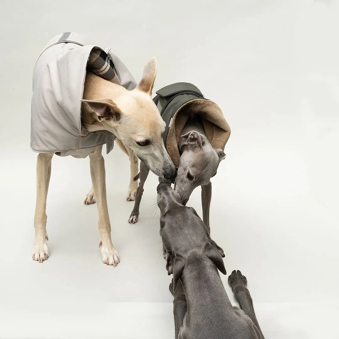 Wintermantel Clouseau 4legs.de