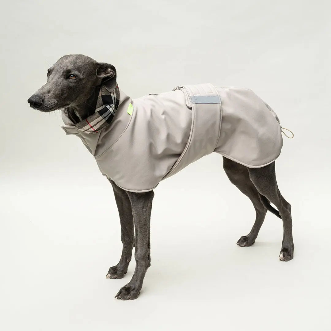 Wintermantel Clouseau 4legs.de