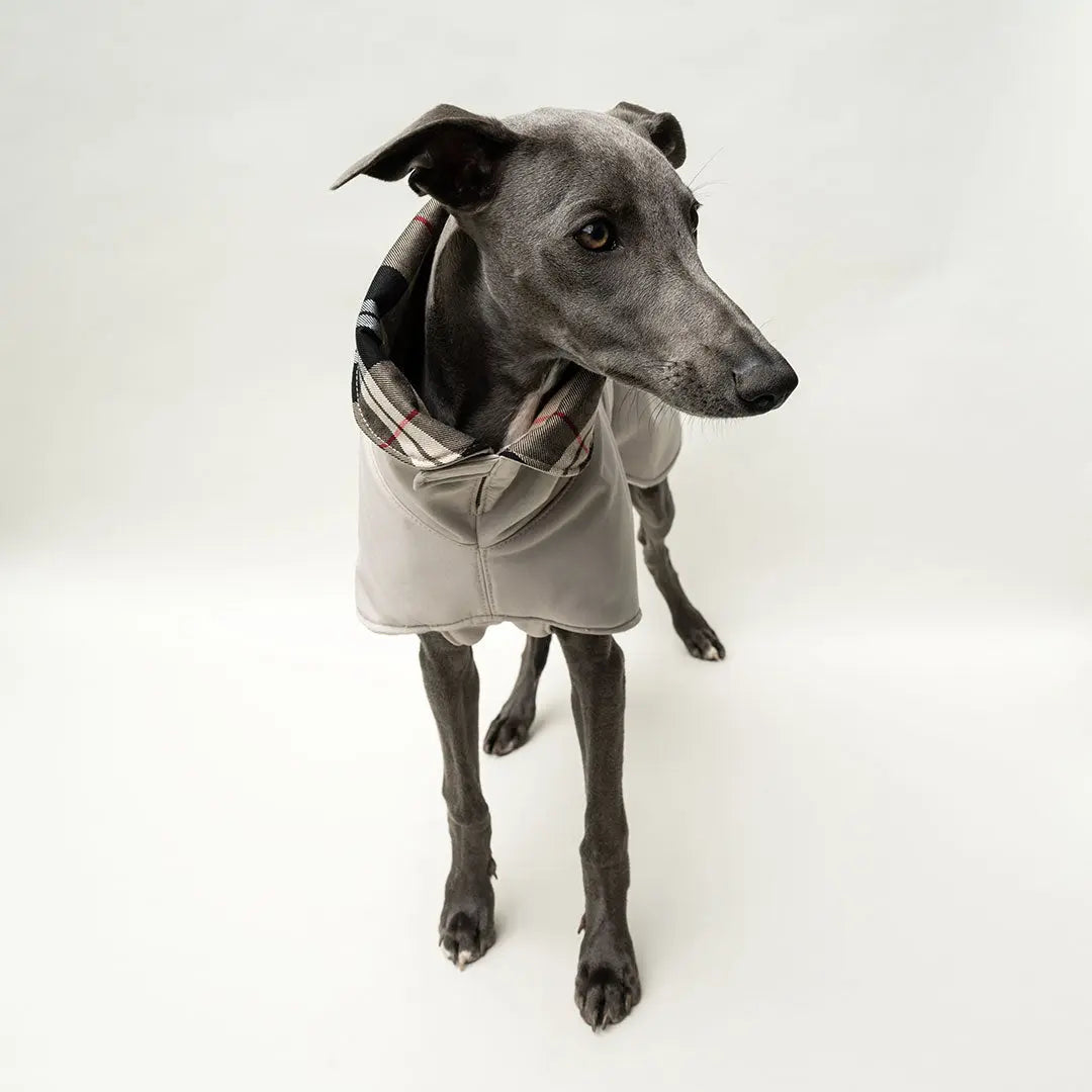 Wintermantel Clouseau 4legs.de