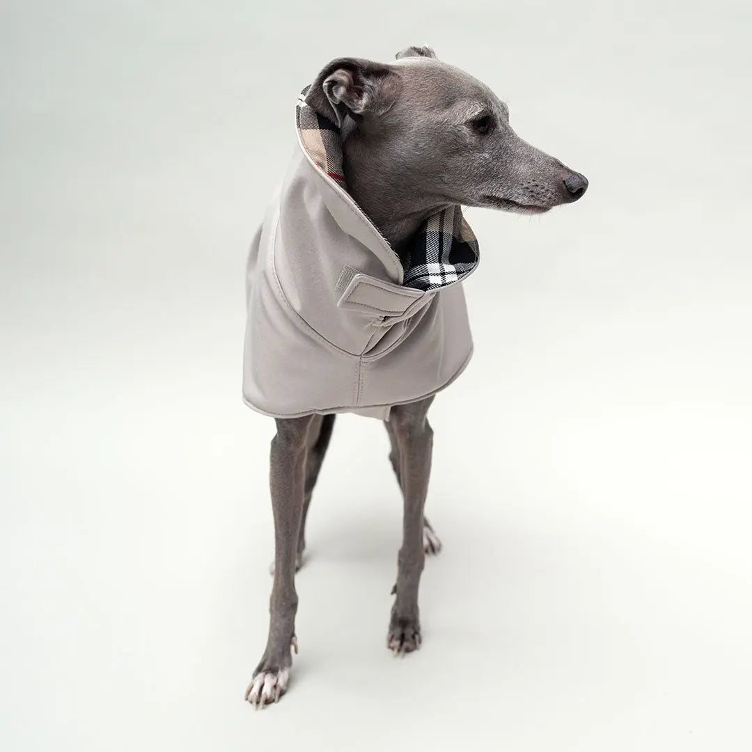 Wintermantel Clouseau 4legs.de