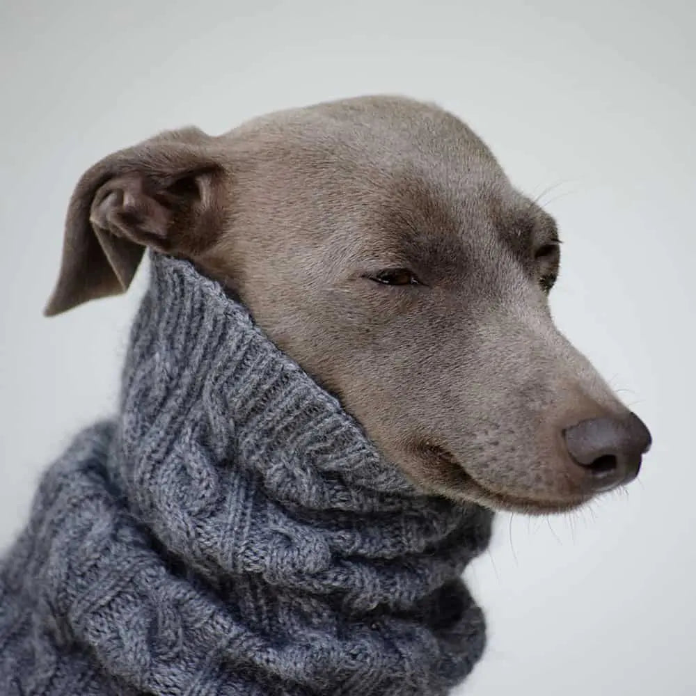 Der handgestrickte Hundeloop aus Kaschmir in edlem grau ist ein einzigartiges Unikat für den zarten Hals des Hundes.