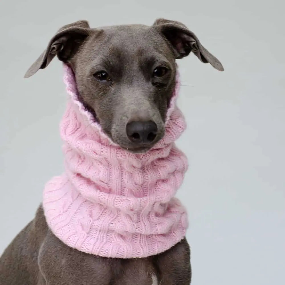 Der handgestrickte Hundeloop aus Kaschmir in sanftem rosa ist ein einzigartiges Unikat für den zarten Hals des Hundes.