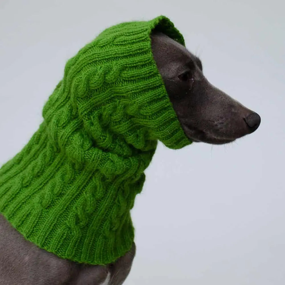 Der handgestrickte Hundeschal aus Kaschmir in kräftigem grün ist ein einzigartiges Unikat für den zarten Hals des Hundes.